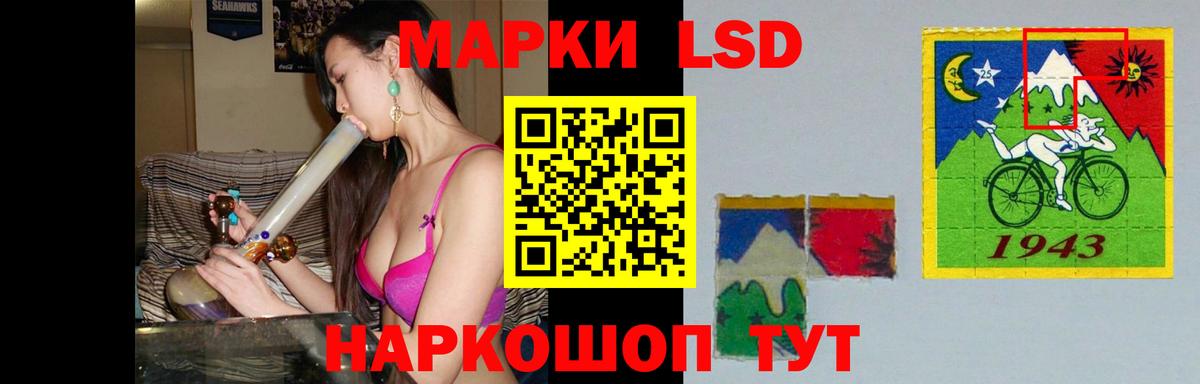 Псилоцибиновые грибы Гуково